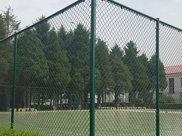 <a href=http://szlngjn2001.cn target='_blank'>勾花網(wǎng)</a>1-案例.jpg